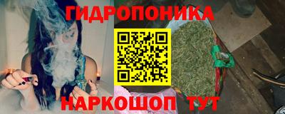 прущие крисы Волжск