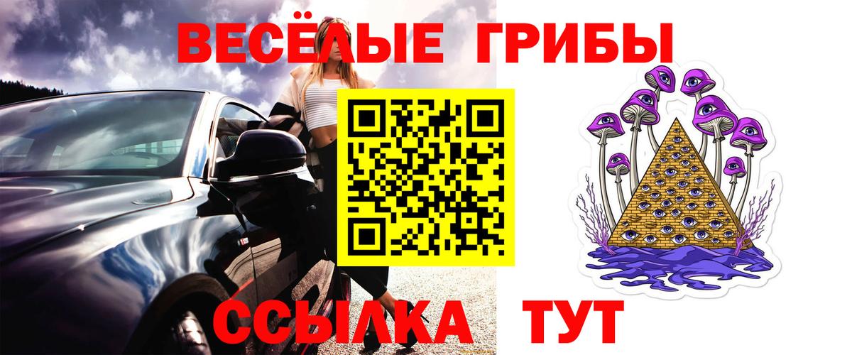 Галлюциногенные грибы Cubensis Касимов