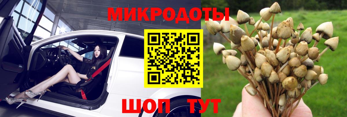 Галлюциногенные грибы Magic Shrooms  Галлюциногенные грибы Psilocybe  Вход с VPN  Касимов 