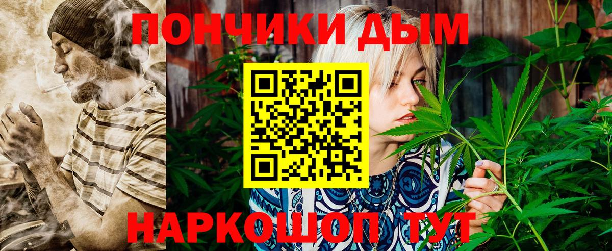 Каннабис план Касимов